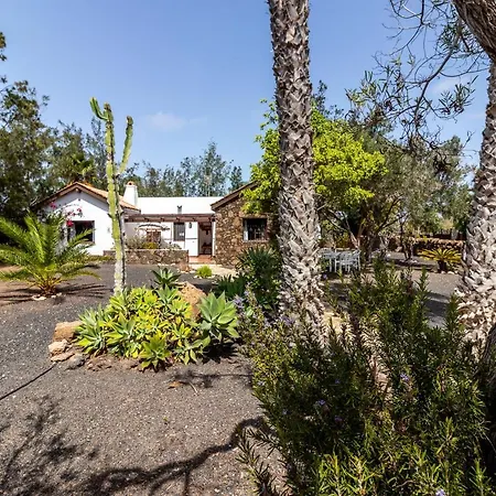Flatguest Tajinaste + Relax + Bbq + Garden Villa
