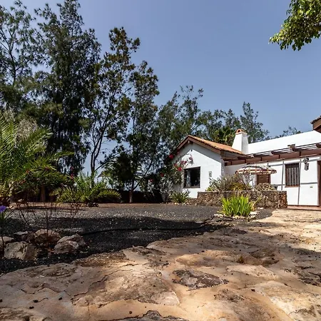 Flatguest Tajinaste + Relax + Bbq + Garden * La Oliva